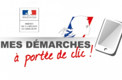 Accompagnement aux démarches en ligne